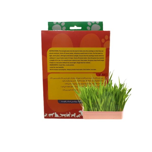 بذر علف گربه انیمال کیوت