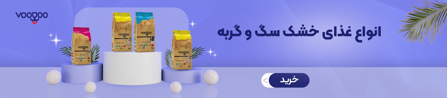 مرسی پت
