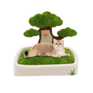 تشک خواب و اسکرچر گربه